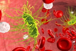 Sức khỏe đời sống - Bị nhiễm trùng huyết và phải cắt cụt chân sau khi bơi dưới biển, đừng bỏ qua những dấu hiệu này