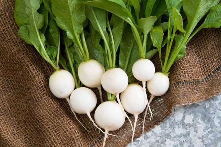 Củ cải trắng giàu vitamin nên khi ăn thường xuyên rất tốt cho sức khỏe. Ảnh minh họa.