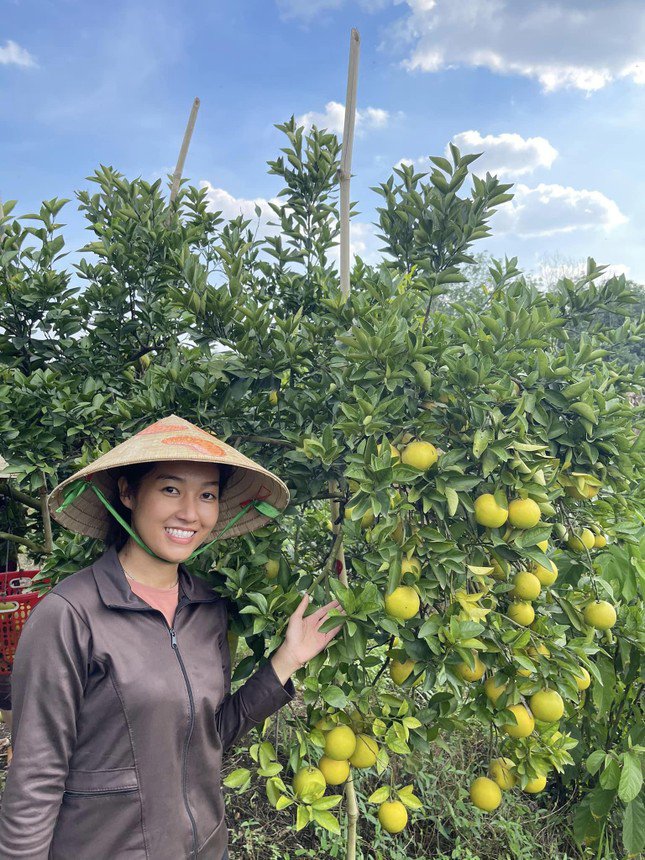 9X 'Tiên Quýt' từ chối cơ hội làm việc ở trời Tây, về quê làm nông dân, mỗi năm thu tiền tỷ - 5