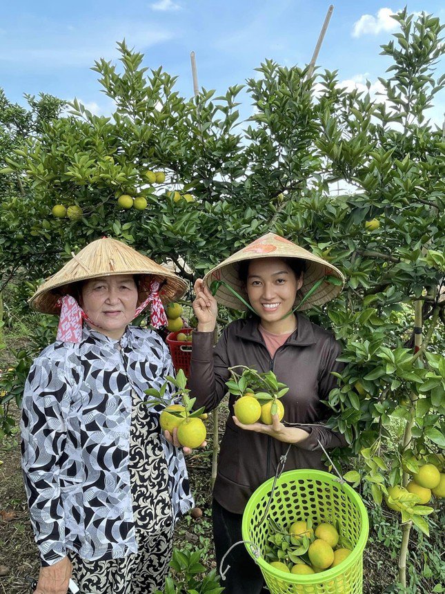 9X 'Tiên Quýt' từ chối cơ hội làm việc ở trời Tây, về quê làm nông dân, mỗi năm thu tiền tỷ - 4