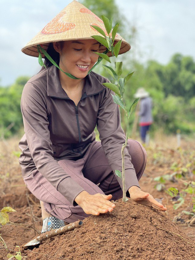 9X 'Tiên Quýt' từ chối cơ hội làm việc ở trời Tây, về quê làm nông dân, mỗi năm thu tiền tỷ - 1