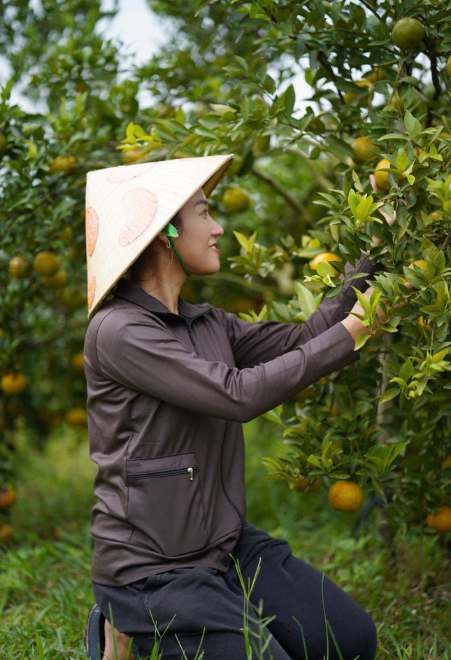 9X 'Tiên Quýt' từ chối cơ hội làm việc ở trời Tây, về quê làm nông dân, mỗi năm thu tiền tỷ - 3