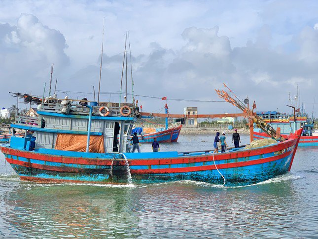 Giá dầu tăng liên tiếp, tàu cá nguy cơ phải nằm bờ - 7