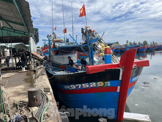 Theo nhiều chủ tàu cá đánh bắt xa bờ ở Quảng Ngãi, chi phí xăng, dầu chiếm hơn 50% của mỗi chuyến ra khơi. Trong khi, sản lượng đánh bắt, giá hải sản giảm đã làm cho nhiều chủ tàu vươn khơi với nỗi lo lỗ vốn. (Ảnh: Nguyễn Ngọc).