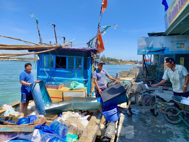 Vừa cập cảng Tịnh Hòa (TP Quảng Ngãi) sau hơn 20 ngày lênh đênh trên ngư trường Hoàng Sa, tàu cá QNg 90003 TS của ngư dân Huỳnh Tấn Quyền (trú xã Nghĩa An, TP Quảng Ngãi) cùng 6 bạn thuyền đánh bắt được hơn 5 tấn cá chuồn với giá bán từ 16.000 – 18.000 đồng/kg. (Ảnh: Nguyễn Ngọc)