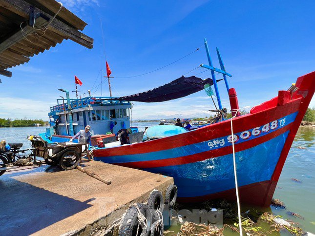 Giá dầu tăng liên tiếp, tàu cá nguy cơ phải nằm bờ - 5