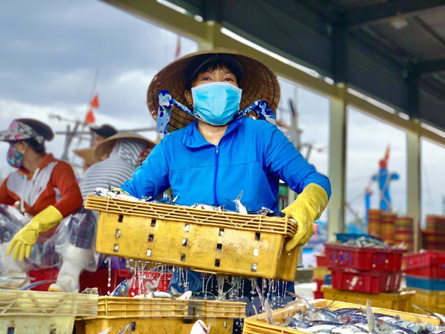 “Nguồn hải sản ngày càng cạn kiệt. Nên tàu đi biển phải đi xa hơn, dài ngày hơn, dẫn đến phí xăng dầu cũng đội lên. Nếu giá nhiên liệu cứ tăng với đà này ngư dân chúng tôi xác định ra khơi đánh bắt chắc chắn sẽ lỗ và có nguy cơ cho tàu nằm bờ ”, ngư dân Ba bộc bạch. (Ảnh: Nguyễn Ngọc).