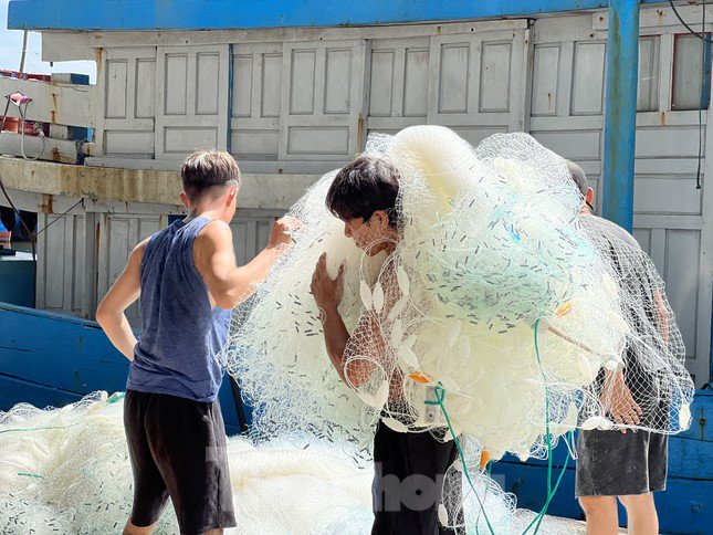 Giá dầu tăng liên tiếp, tàu cá nguy cơ phải nằm bờ - 16