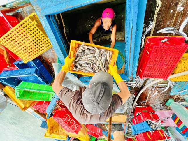 Giá dầu tăng liên tiếp, tàu cá nguy cơ phải nằm bờ - 19