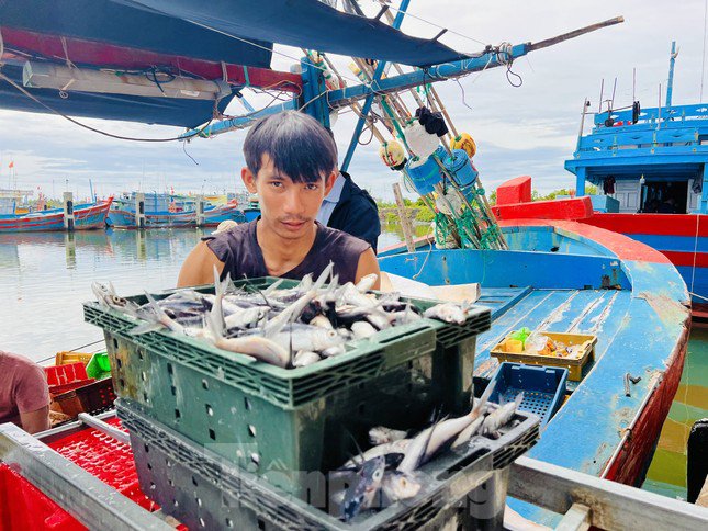 Giá dầu tăng liên tiếp, tàu cá nguy cơ phải nằm bờ - 21