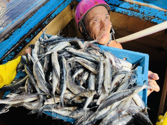 Giá dầu tăng liên tiếp, tàu cá nguy cơ phải nằm bờ - 20