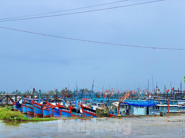 Giá dầu tăng liên tiếp, tàu cá nguy cơ phải nằm bờ - 23