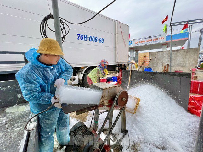Giá dầu tăng liên tiếp, tàu cá nguy cơ phải nằm bờ - 12