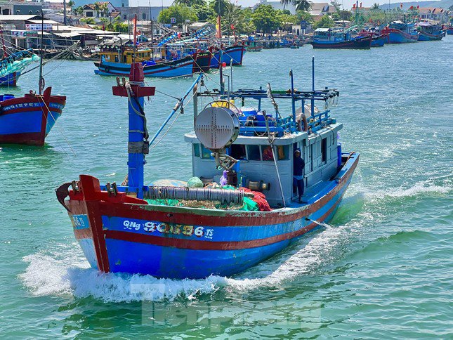 Tỉnh Quảng Ngãi có gần 4.500 tàu cá, với khoảng 37.000 lao động nghề biển. Giá dầu tăng, kéo các chi phí khác tăng theo làm nhiều chủ tàu gánh nợ vì không đủ bù đắp chi phí sản xuất. Thu nhập, đời sống và an sinh xã hội của cộng đồng ngư dân cũng ảnh hưởng bởi tác động của giá xăng dầu. Ảnh: Nguyễn Ngọc.