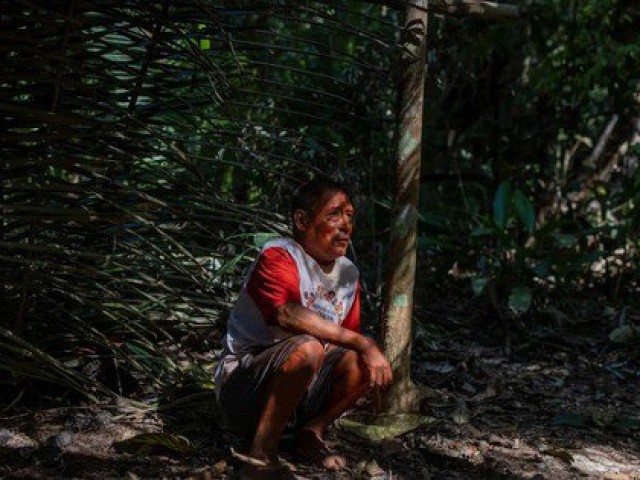 Những người sống sót cuối cùng của bộ tộc bản địa Amazon