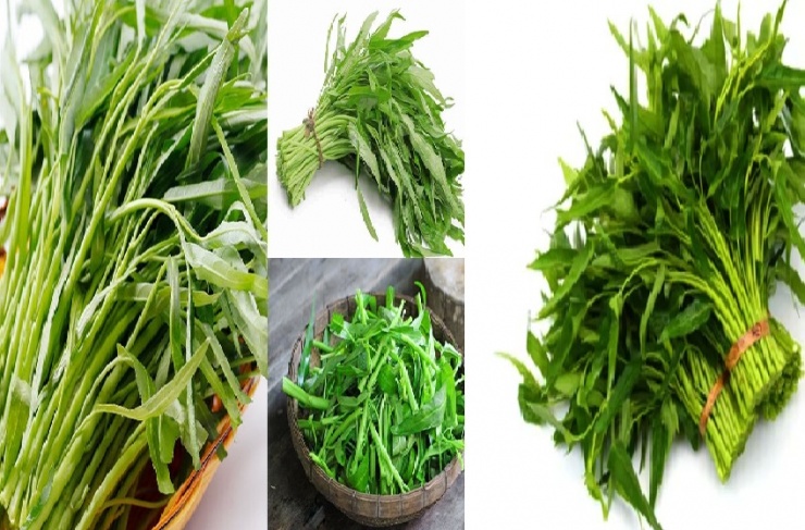 Rau muống xứng đáng được mệnh danh là loại rau "quốc dân" của Việt Nam bởi chúng được đại đa số các gia đình yêu thích. Loại rau này chế biến được nhiều món ngon. Ảnh minh họa.
