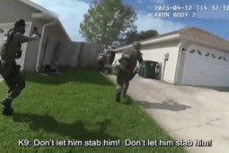Video: Nghi phạm cầm dao định đâm chó nghiệp vụ, bị cảnh sát Mỹ bắn chết tại chỗ