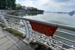 Tin tức trong ngày - Vì sao tiếp tục xuất hiện cá chết tại hồ Tây?