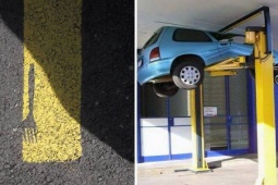 Tranh vui - Khi con người khiến mọi thứ rối tung lên