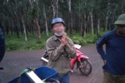 An ninh - Xã hội - Bị bắt quả tang trộm sầu riêng, người đàn ông chắp tay xin lỗi