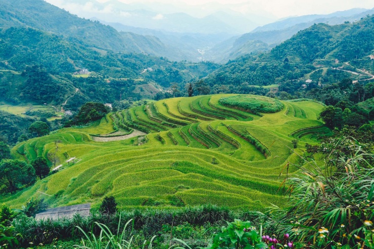 Với những ai luôn tất bật với bộn bề cuộc sống thì những ngày trải nghiệm ở Hoàng Su Phì vào mùa thu là những ngày sống trên mây, nhẹ nhàng, chậm rãi với mùa lúa chín vàng.