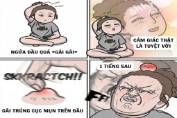 Cười 24H - Gãi thì "phê" mà hết gãi thì "tê"