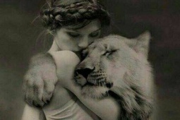 Tin vịt - Tin vịt: Một tình huống bất ngờ đến sững sờ