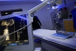 Thế giới - Kết quả phân tích hài cốt nghi "người ngoài hành tinh" ở Mexico