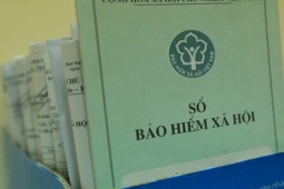Tin tức trong ngày - Khoảng 3,5 triệu người rút bảo hiểm một lần rồi "rời bỏ hoàn toàn"