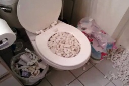 Tranh vui - Sự cố "cạn lời" khi sống với bạn cùng phòng