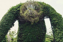 Tranh vui - Con người có thể tạo ra những cảnh quan "hết hồn"