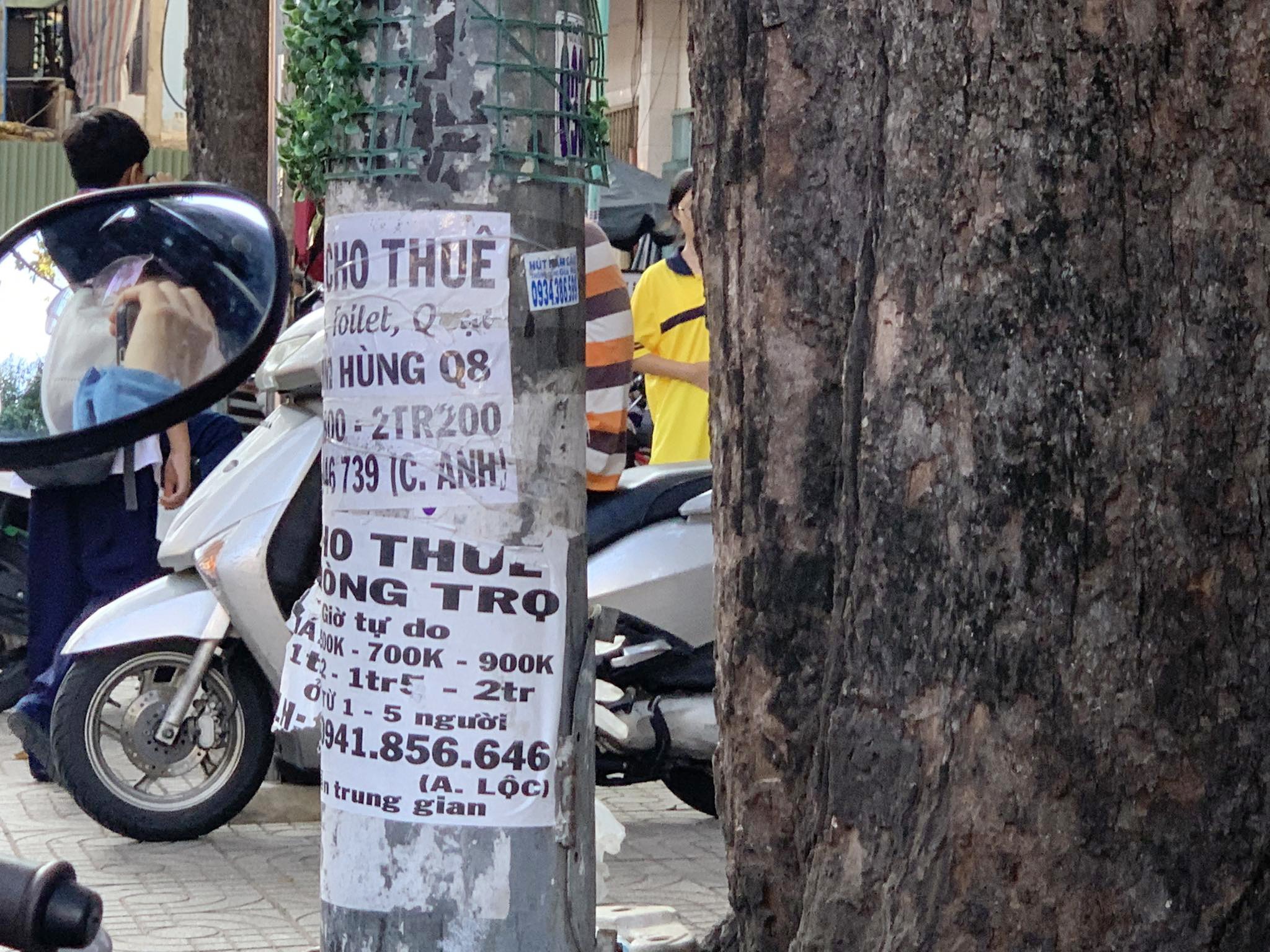 Chân cột điện không được quấn cỏ đã bị dán chi chít quảng cáo, rao vặt.
