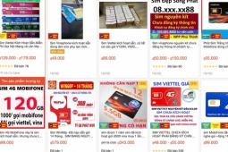 Kinh doanh online sim điện thoại kiếm bộn tiền ra sao?