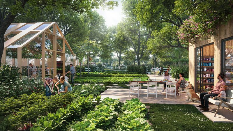 Ba công viên trị liệu thân, tâm, trí tại bất động sản Blue Zones đầu tiên của Việt Nam - 6