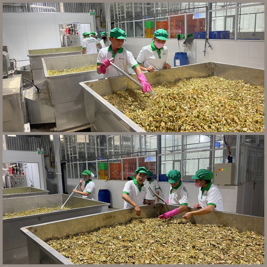Quy trình sản xuất khép kín của Thaphaco