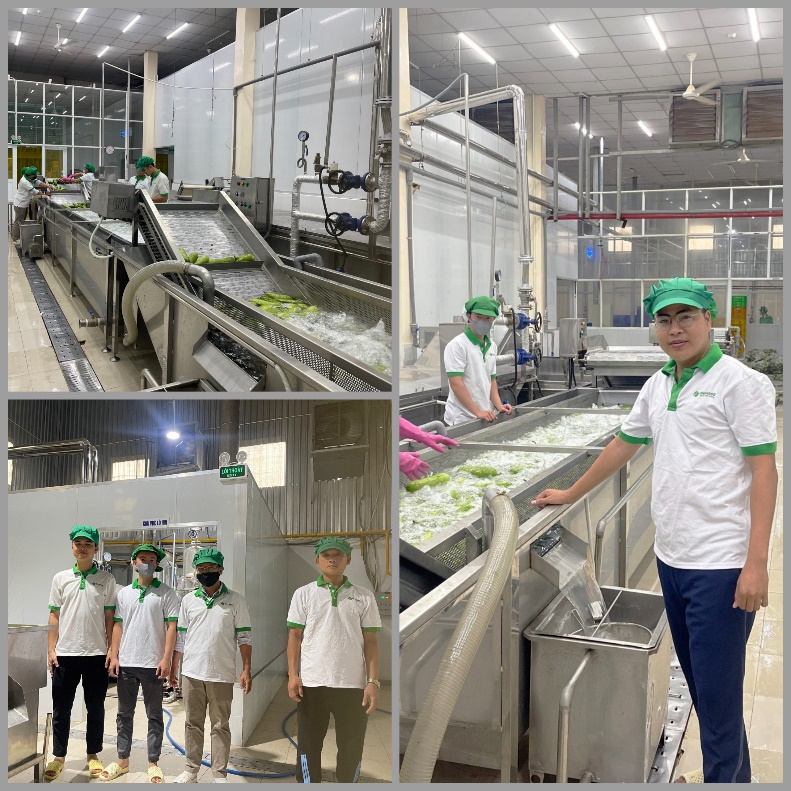 Thaphaco – Nâng cao sức khỏe & sắc đẹp từ nguồn dược liệu Việt Nam - 3