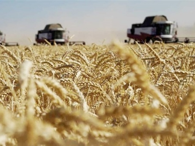 Thế giới - Khi đồng minh rạn vỡ