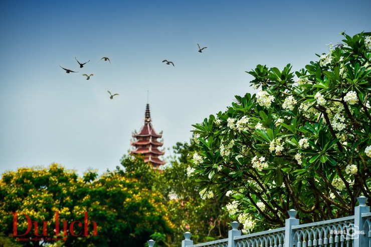 Chuyến du ngoạn giúp các bạn trẻ hiểu rõ về lịch sử và cả giá trị “xanh” trong việc bảo vệ, cải tạo môi trường ngày càng xanh – sạch đẹp hơn.