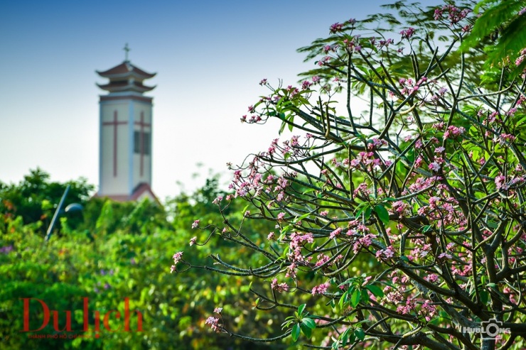 Văng vẳng tiếng chuông ngân một sớm mai dịu mát, nắng hanh vàng dịu dàng xuyên cành lá.