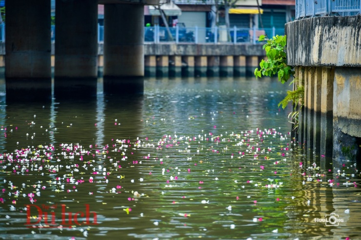 Hai bên bờ, hoa cỏ mơn man suốt 4 mùa, từ bằng lăng tím, bò cạp vàng, lộc vừng đỏ đầy mê hoặc cho đến tinh khiết hoa sứ trắng, bông giấy mộc mạc… và đặc biệt là sắc màu miên man của hoa bàng vuông Trường Sa trông vô cùng quyến rũ.