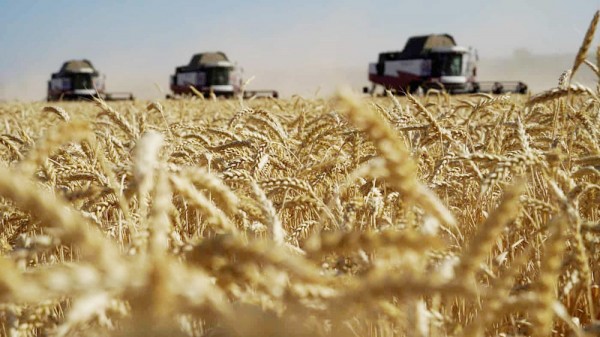 Bất đồng nổ ra giữa Ba Lan và Ukraine liên quan đến xuất khẩu ngũ cốc đã khiến căng thẳng song phương trở nên sâu sắc hơn. Ảnh: Getty