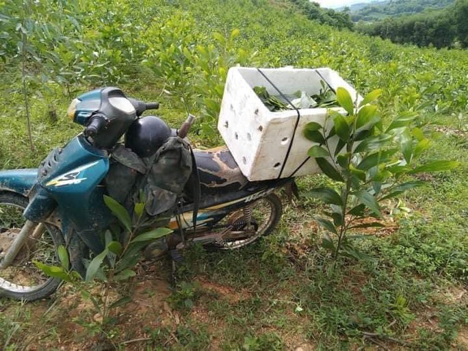 Chiếc xe máy và đồ nghề săn ong của của anh V.V.N. được tìm thấy gần vị trí phát hiện thi thể anh tại thôn Thanh Vinh