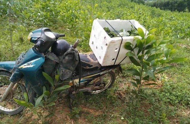 Chiếc xe máy được Nghĩa sử dụng để đi săn ong