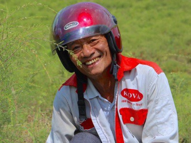 Thị trường - Tiêu dùng - Kiếm hàng chục triệu đồng từ cây mọc hoang