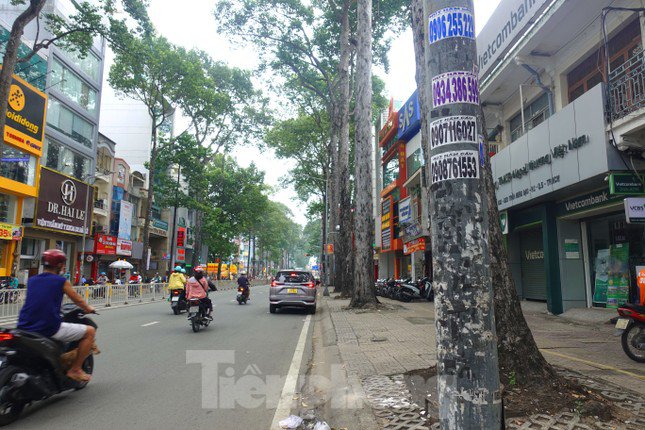 Anh Nguyễn Văn Năm (ngụ phường 1, quận 5) cho biết: "Nhìn vào có thể thấy, việc quấn tấm cỏ nhân tạo sẽ che chắn được những vết keo, tờ quảng cáo. Khi gỡ tấm che xuống thì trụ điện cả tuyến đường lại rất nhếch nhác bởi keo dán, tờ quảng cáo đủ loại. Bởi vậy, nếu không dùng tấm cỏ để che thì cơ quan chức năng cần nghiên cứu giải pháp mới để tẩy xóa vết bẩn".