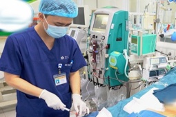 Tin tức trong ngày - Bé trai tử vong vì ong vò vẽ đốt hơn 100 nốt trên đường đi học