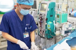 Tin tức trong ngày - Bé trai tử vong vì ong vò vẽ đốt hơn 100 nốt trên đường đi học