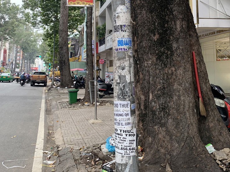 Cột điện đã quấn “cỏ”, quảng cáo, rao vặt vẫn... “không tha”. Trong ảnh là trước và sau khi cơ quan chức năng tháo lớp cỏ nhựa ốp trên cột điện.