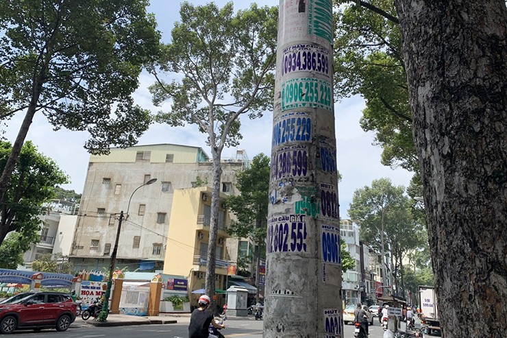 Sau khi tháo “áo giáp” cỏ nhựa, trên các trụ điện chi chít quảng cáo, rao vặt.