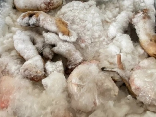 Thị trường - Tiêu dùng - Kinh hoàng 3 tấn thịt lợn rỉ nước, bốc mùi hôi thối chuẩn bị bày bán cho người dân